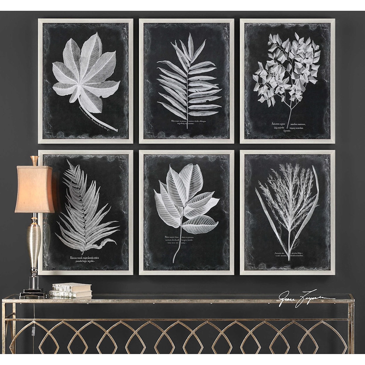 Uttermost Framed Prints Foliage Framed Prints, Set of 6