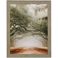 Framed Print Wall Art with Willow Tree Design