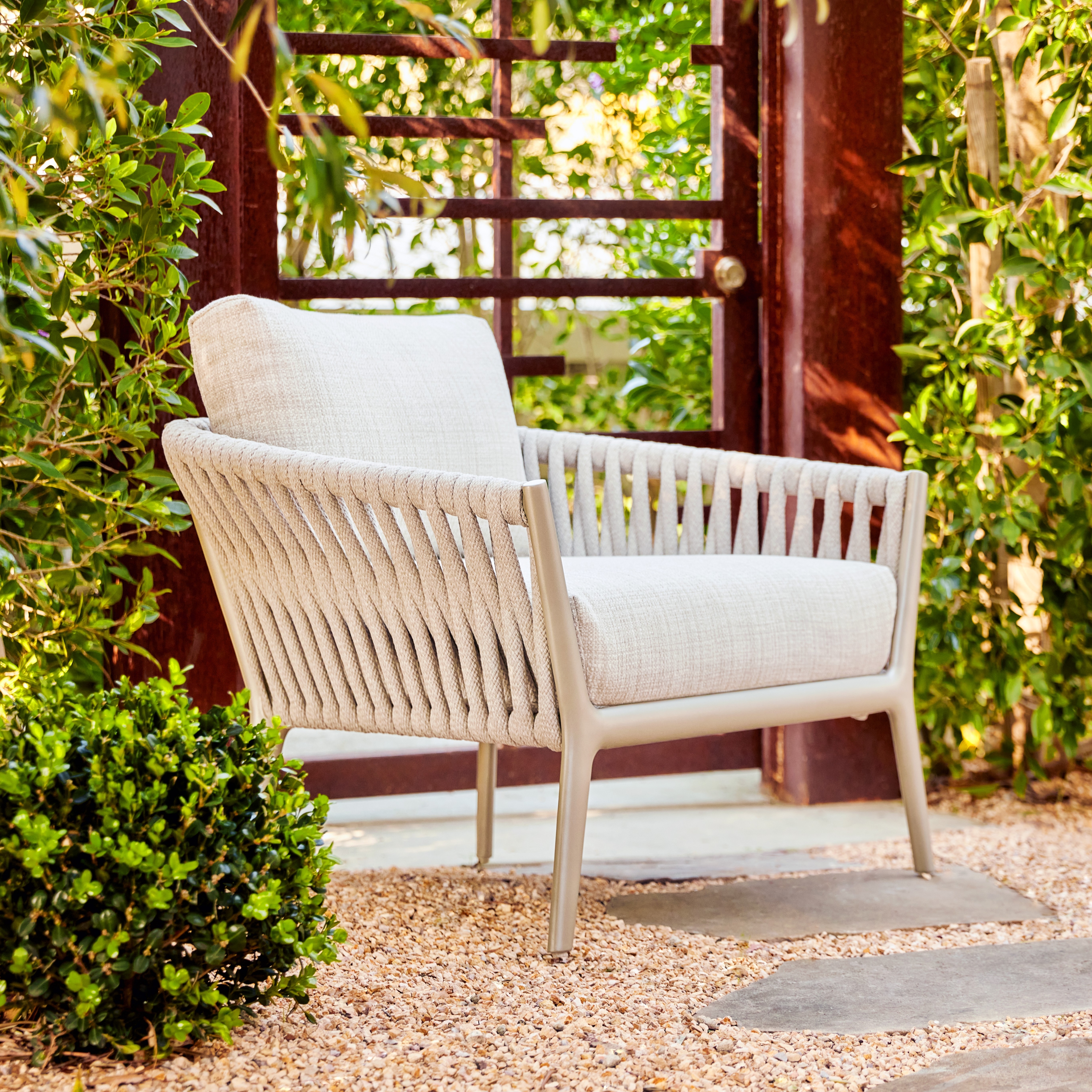 Collection Thumbnail