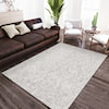 Dalyn Mateo 3'6" x 5'6" Rug