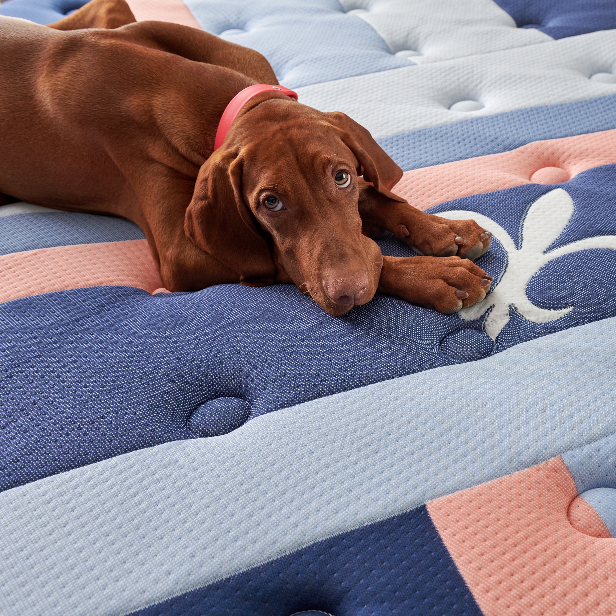 Duet Firm Tight Top Queen