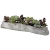 Uttermost Botanicals Charita Lush Succulents