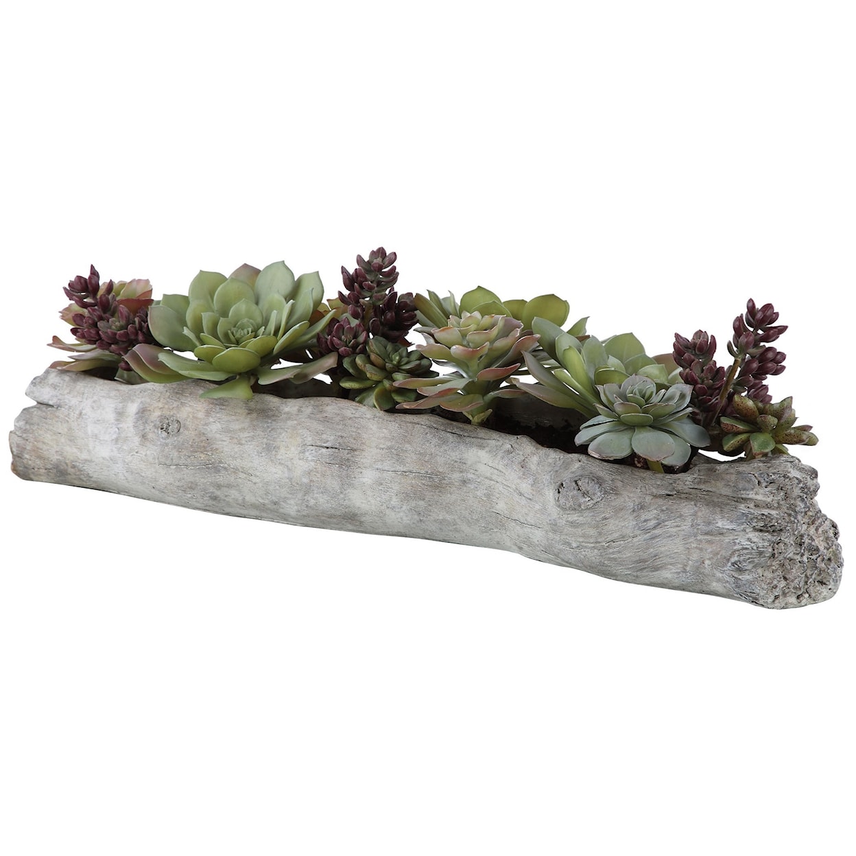 Uttermost Botanicals Charita Lush Succulents