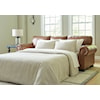 Michael Alan Select Carianna Queen Sofa Sleeper