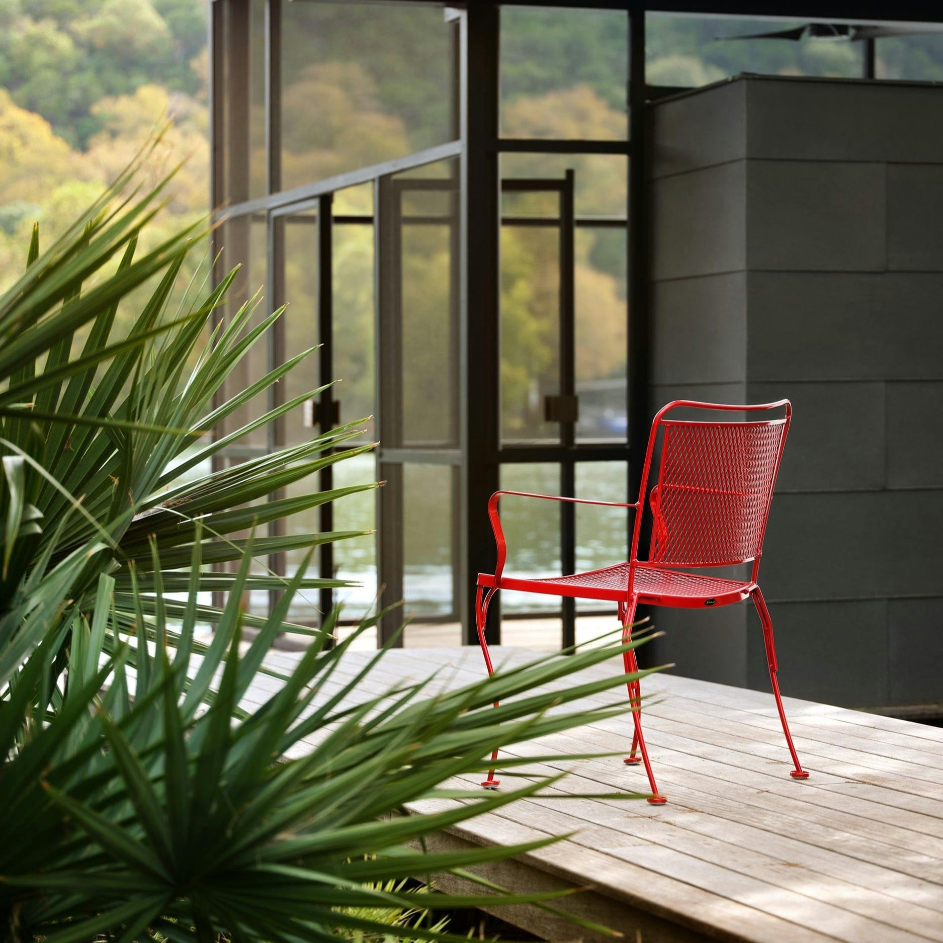 Collection Thumbnail