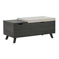 Storage Bench with Top Cushion