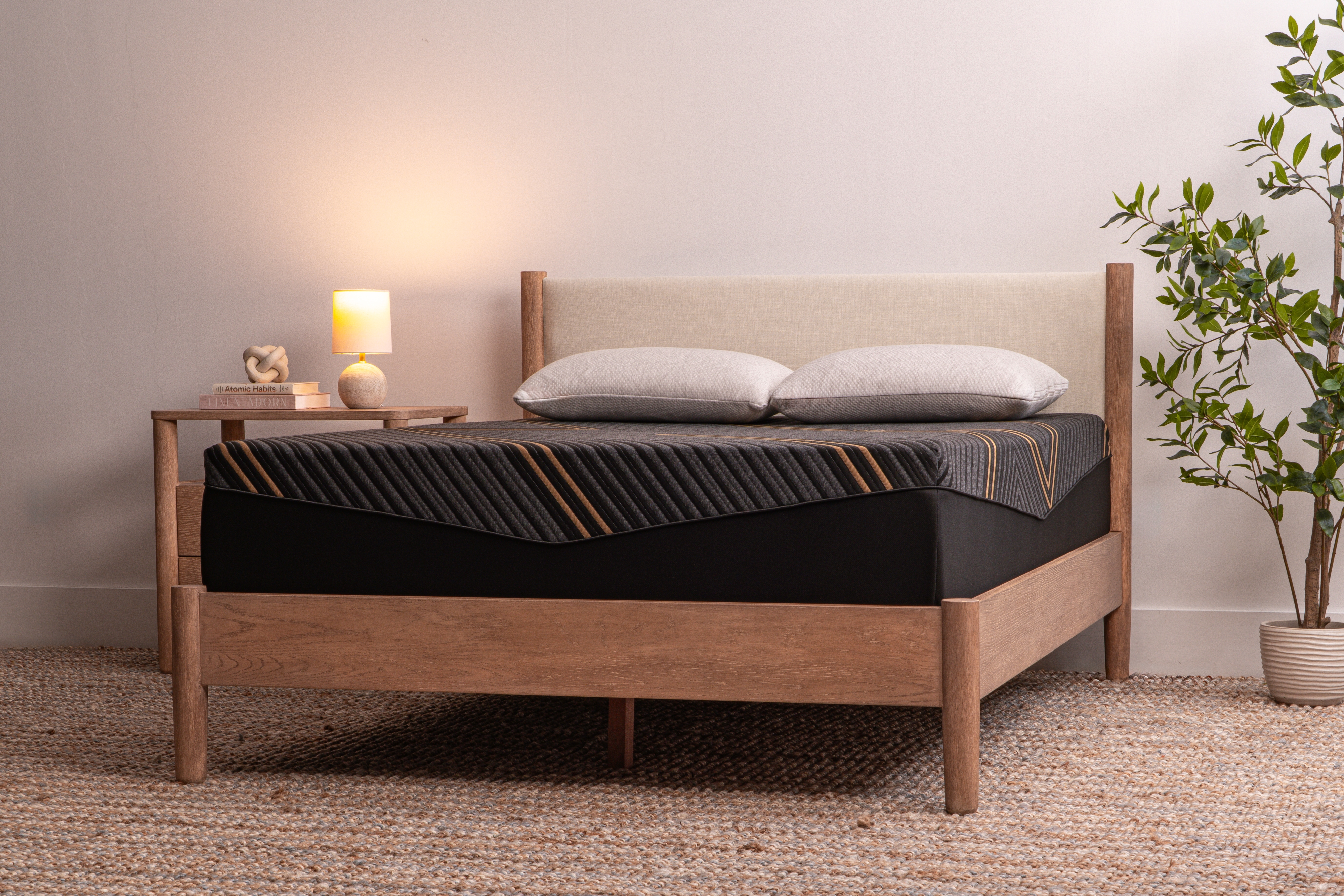 Brooklyn Bedding Alpine 25WI13ALPS33 40 Winks Twin Alpine Soft