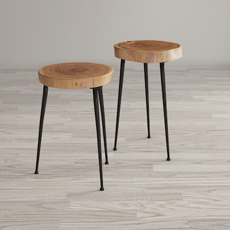 Wood and Iron Accent Tables (Set of 2)