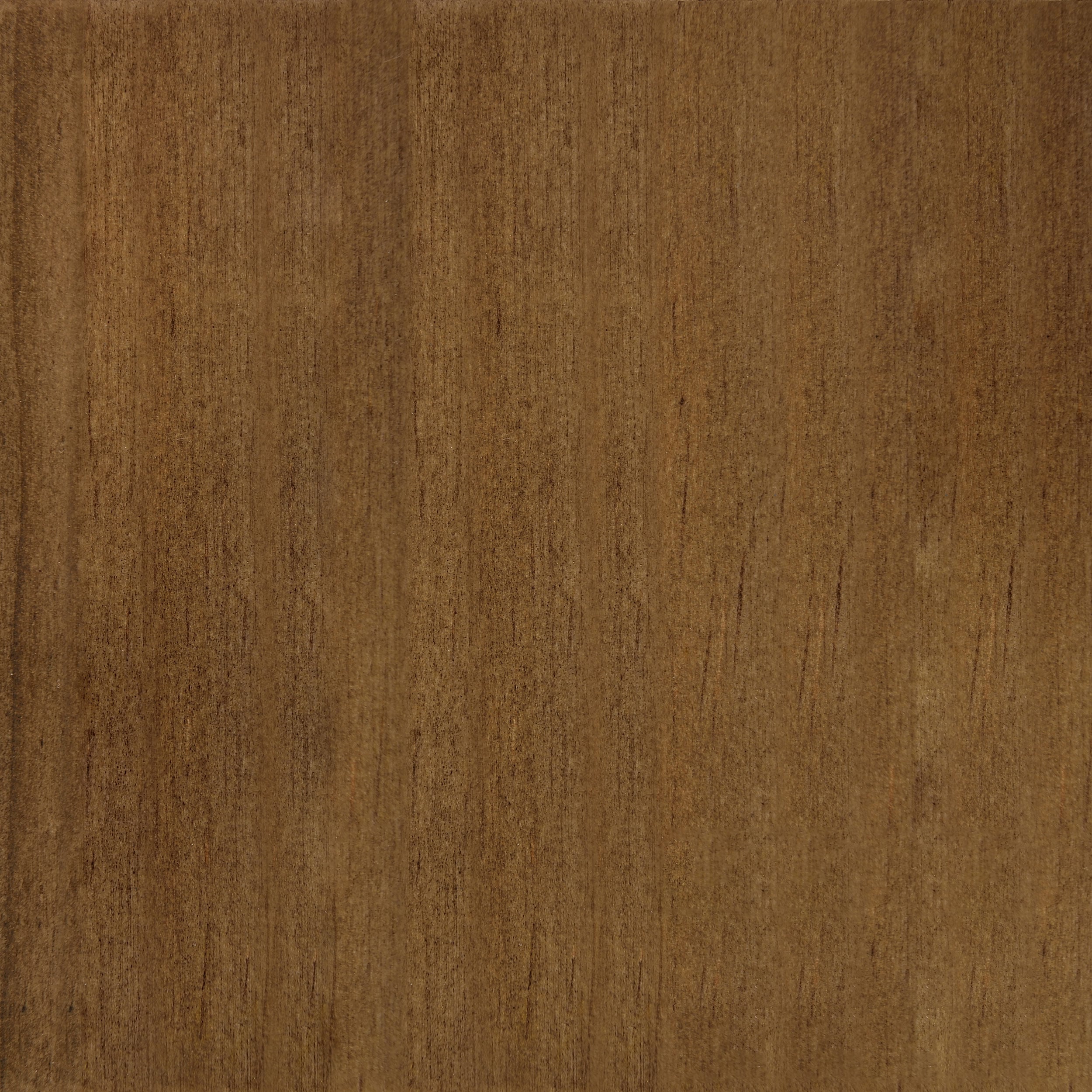 Coaster Mila 3-Panel Room Divider Folding Shoji Screen