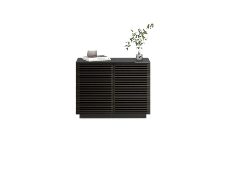 2-Door Storage Cabinet