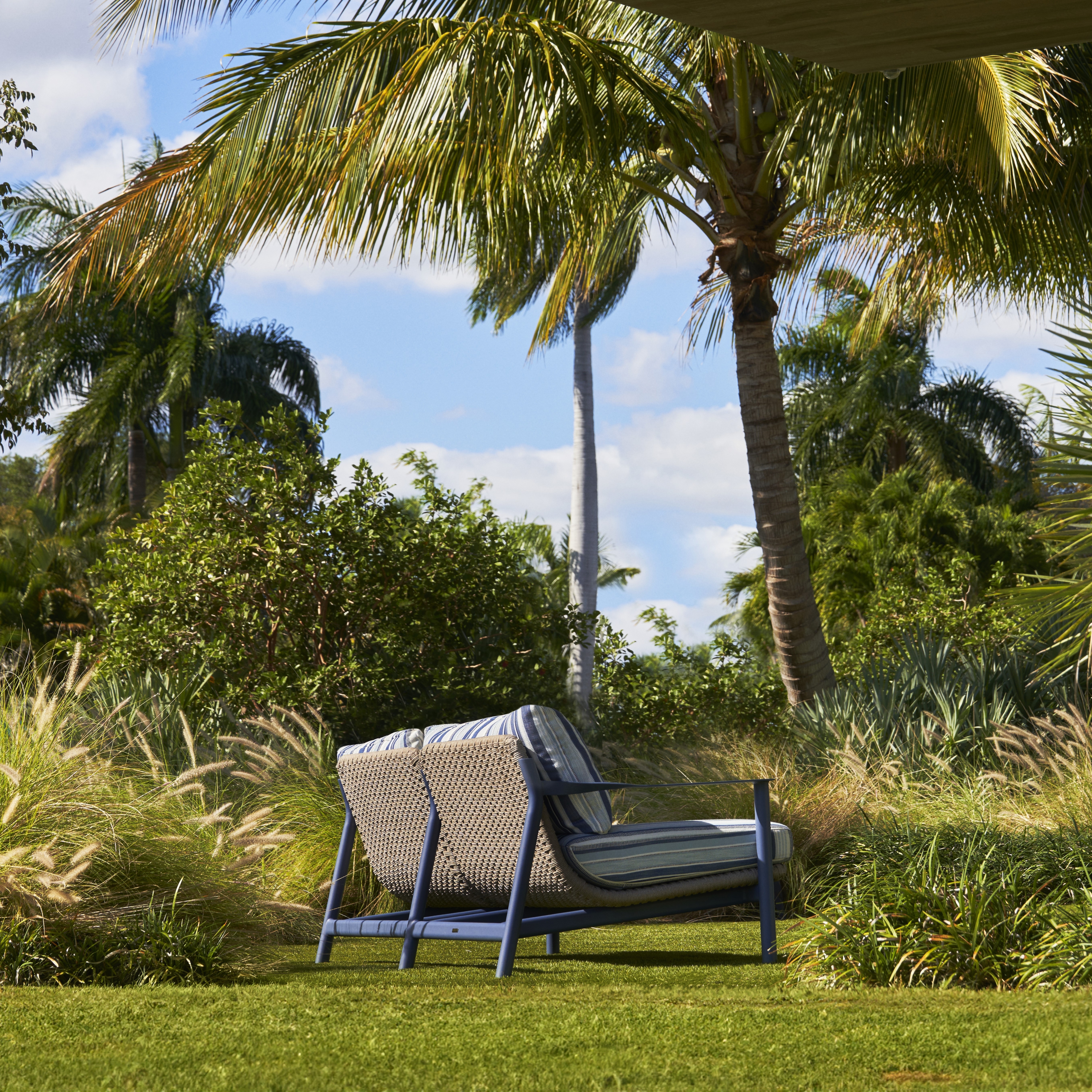 Collection Thumbnail