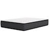 Sierra Sleep Limited Edition Firm Twin XL Mattress