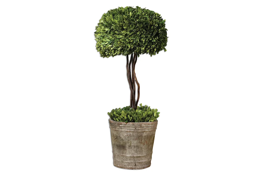 Botanicals Preserved Boxwood Tree Topiary by Uttermost at Z & R Furniture