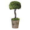 Uttermost Botanicals Preserved Boxwood Tree Topiary