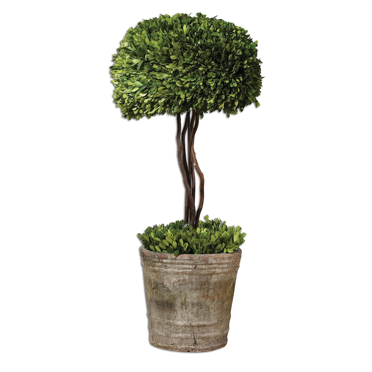 Uttermost Botanicals Preserved Boxwood Tree Topiary