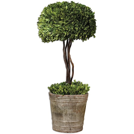 Preserved Boxwood Tree Topiary