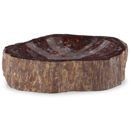 Red Petrified Bowl