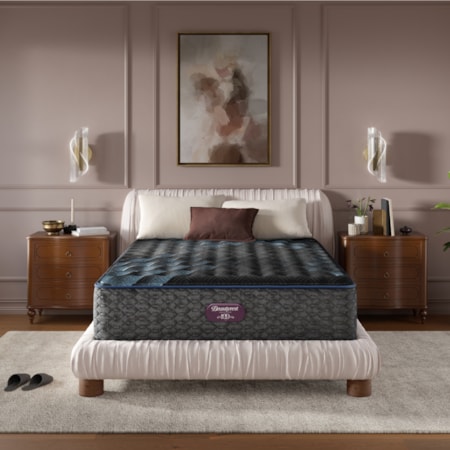 World Class Level Four Queen Mattress