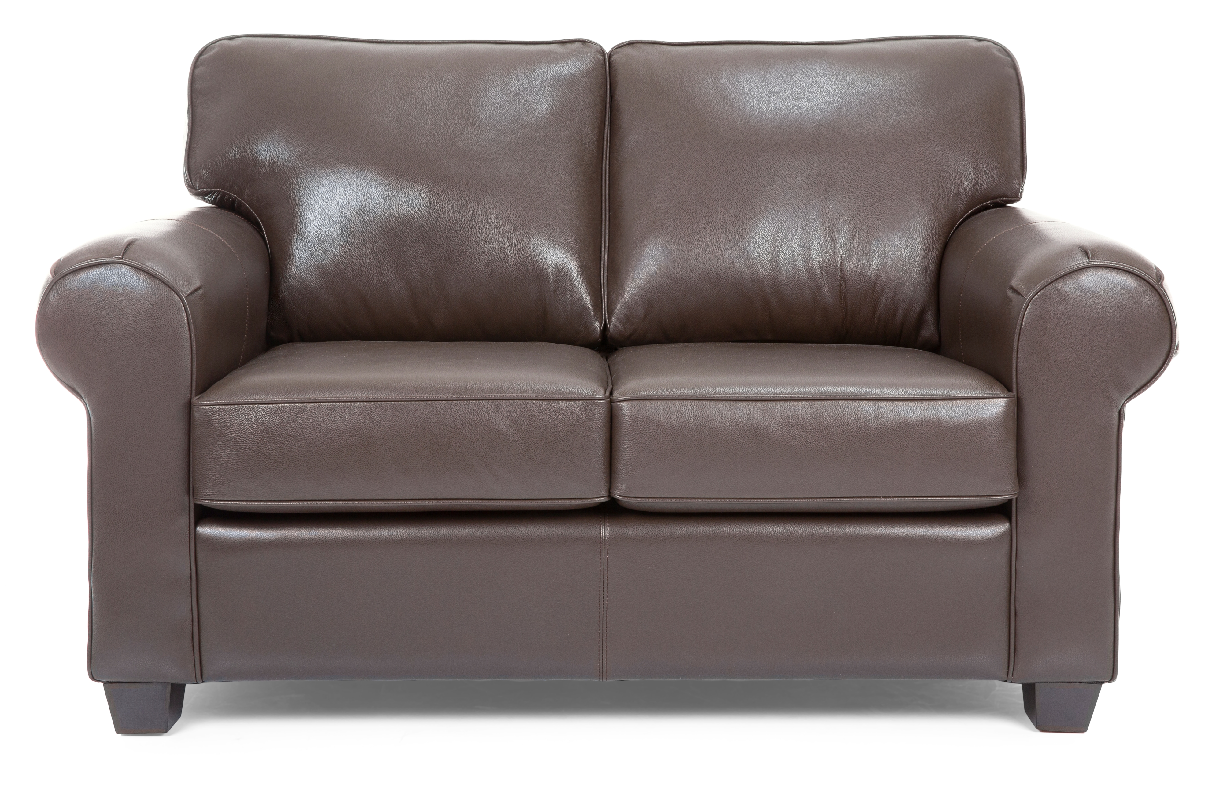 Leather Loveseat