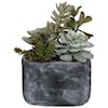 Uttermost Botanicals Alverio Desert Garden Succulents