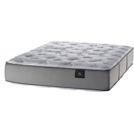 Queen Plush Mattress