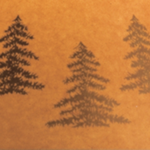 Signature Design by Ashley Derek Table Lamp (Set Of 2)