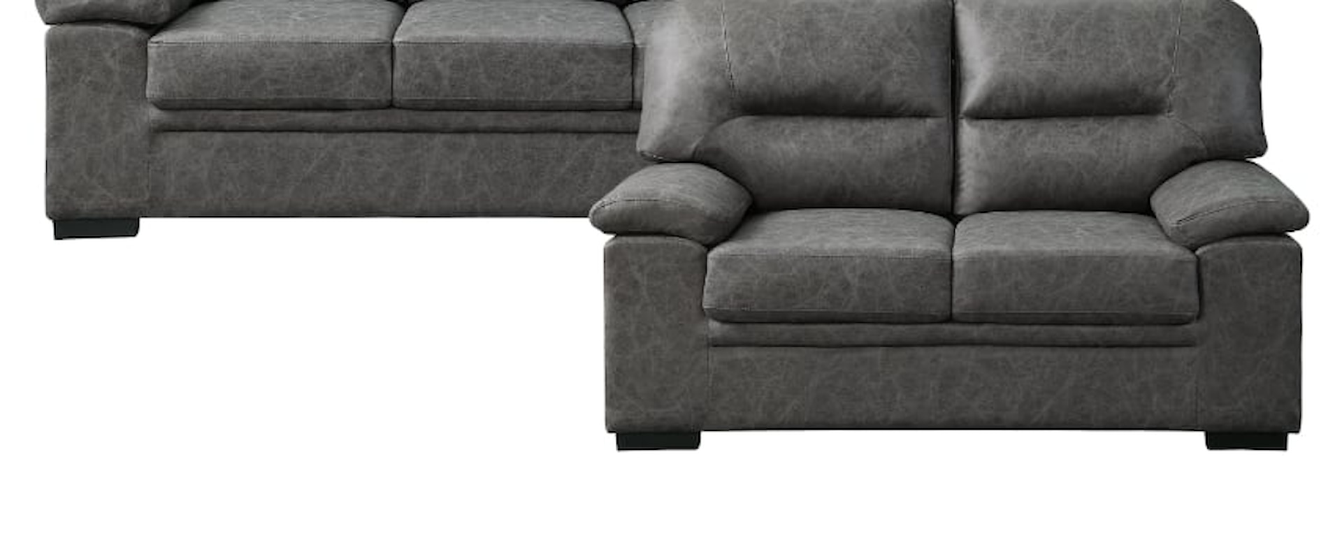 Contemporary 2-Piece Living Room Set