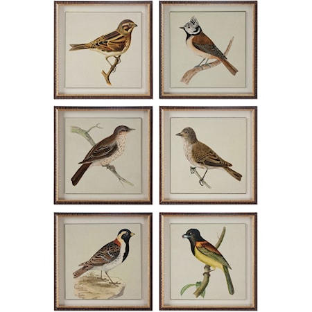 Spring Soldiers Bird Prints, S/6