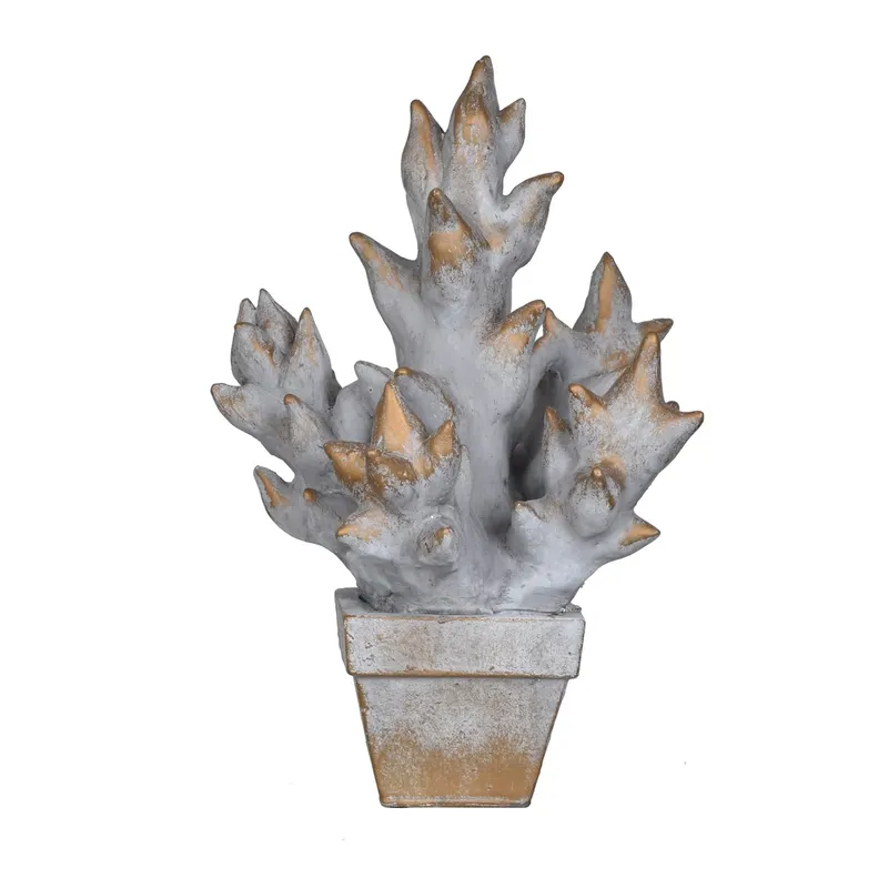 Collection Thumbnail