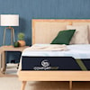 Serta Canada iComfort F15GL Firm Queen Firm Mattress