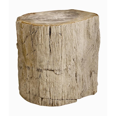 Petrified Accent Table