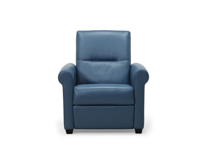 Palliser Essex Essex Power Recliner