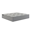 Sherwood Bedding Sanctuary Firm Twin Firm Mattress