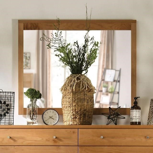 Collection Thumbnail