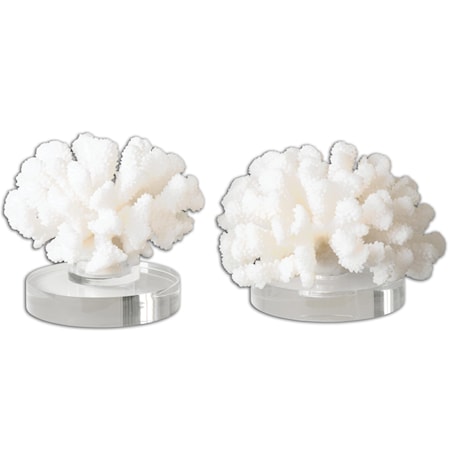 Hard Coral Sculptures, Set of 2