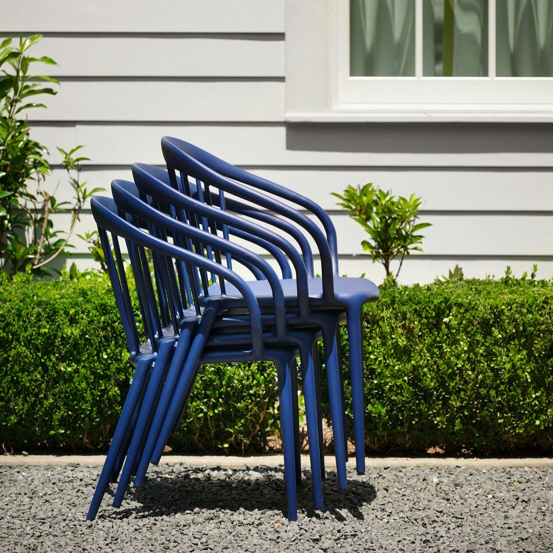 Collection Thumbnail