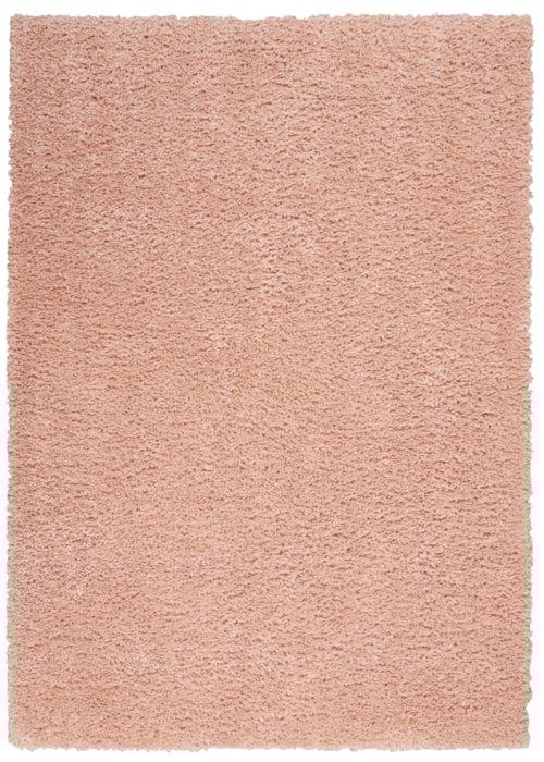 3'11" x 5'11" Blush Rectangle Rug