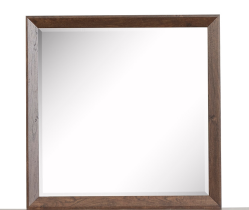 Transitional Portrait Mirror