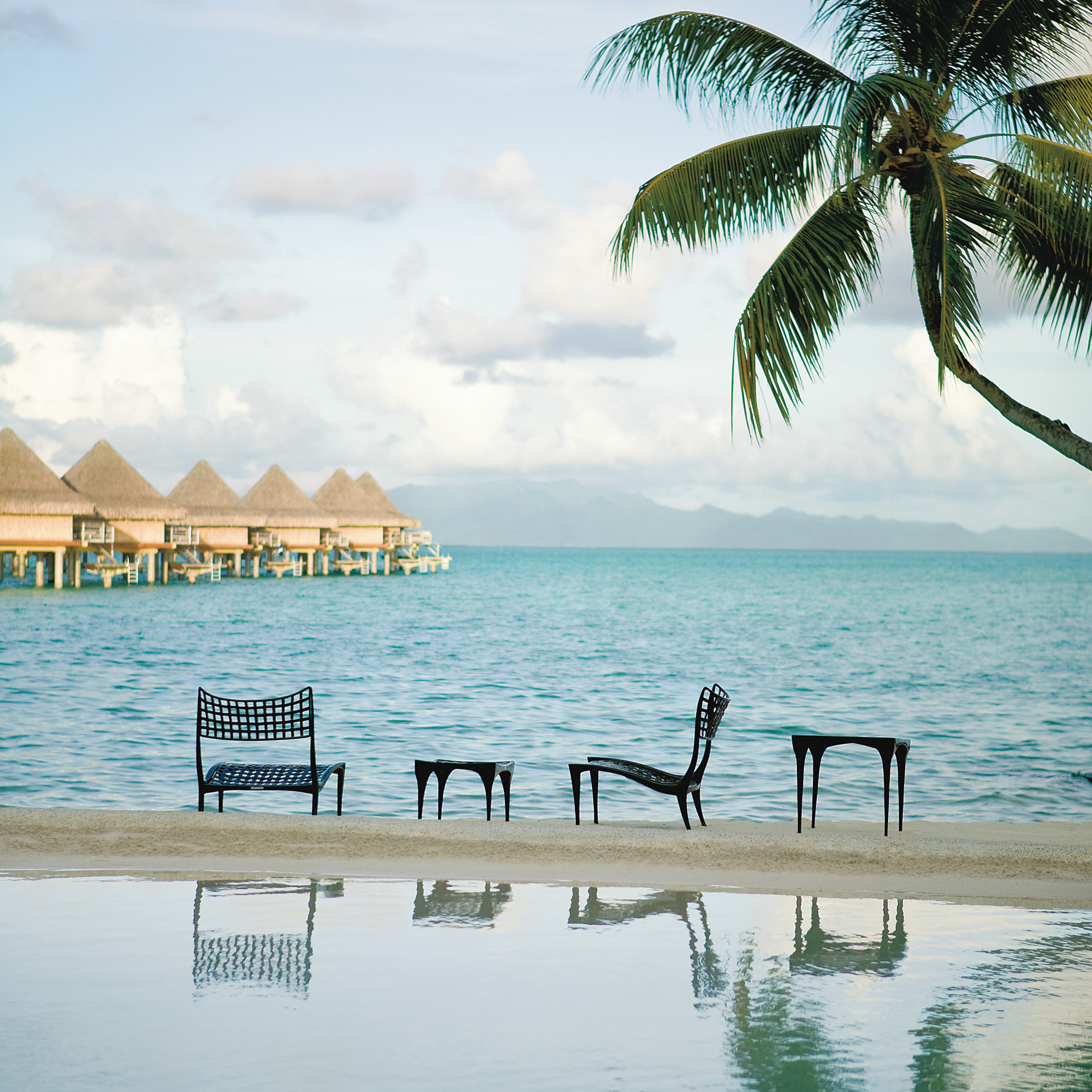 Collection Thumbnail