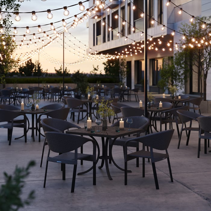 Collection Thumbnail