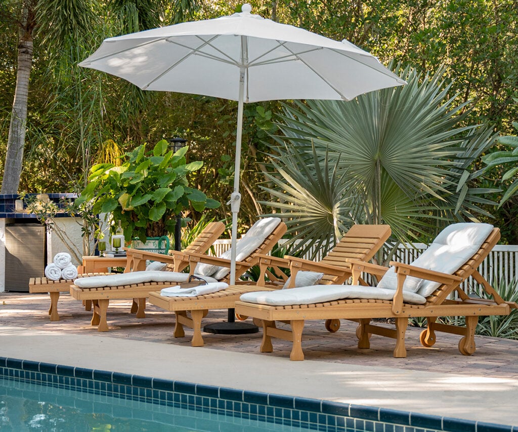 Collection Thumbnail