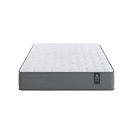 Queen Plush Mattress