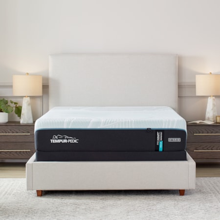 Queen Mattress