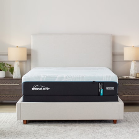 Queen Mattress