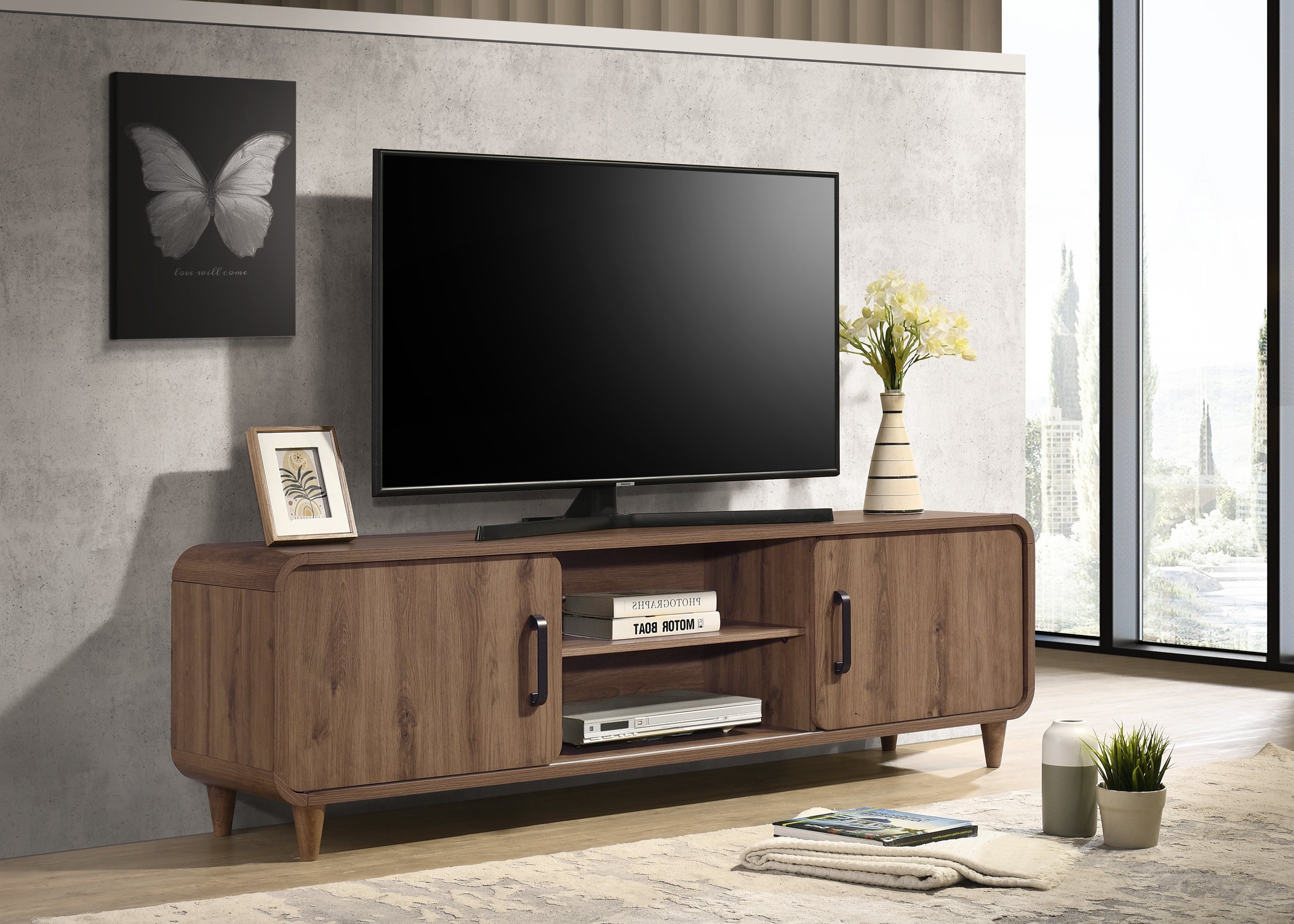 2-Door TV Stand