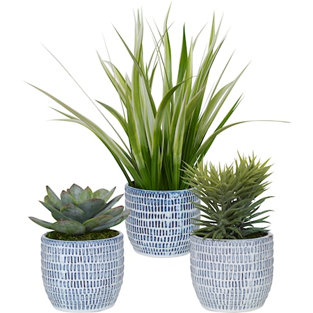 Puebla Greenery In Blue & White Pots S/3