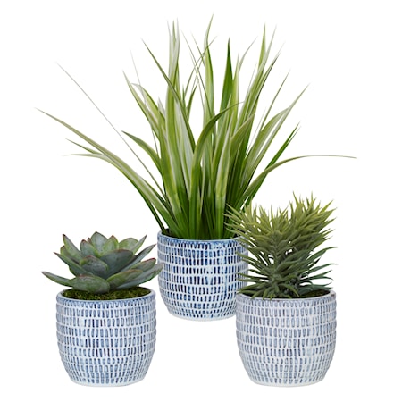 Puebla Greenery In Blue &amp; White Pots S/3