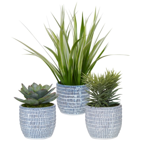 Puebla Greenery In Blue & White Pots S/3