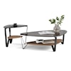 BDI Dino Large Coffee Table