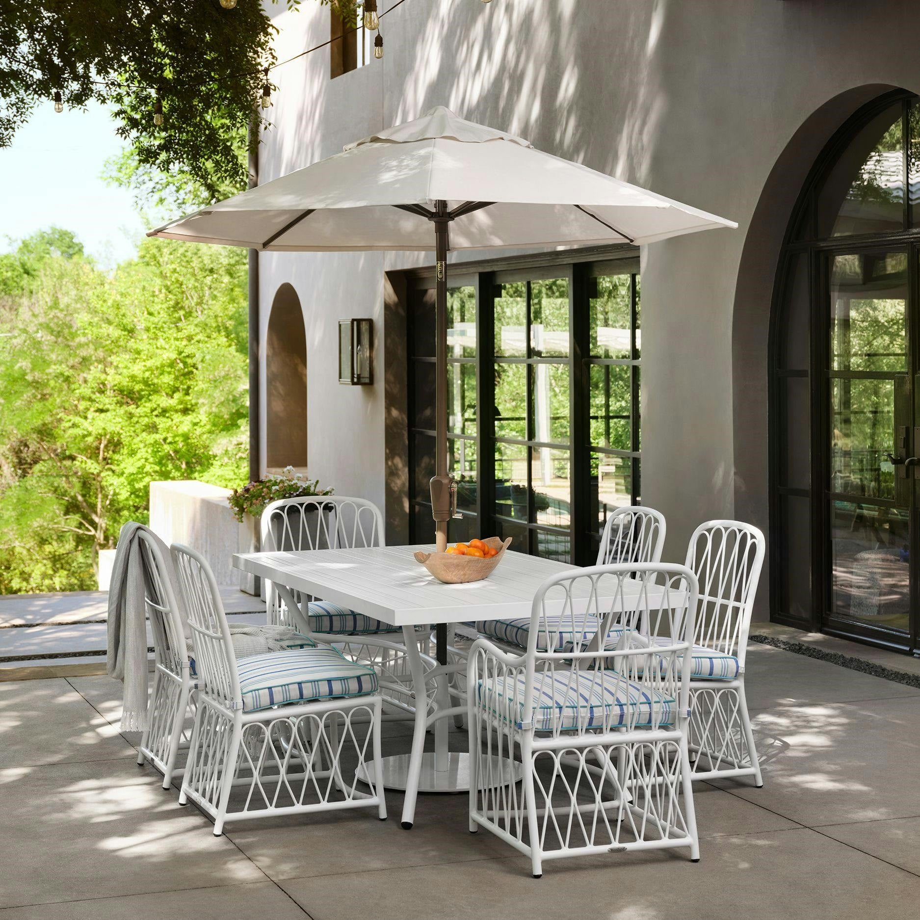 Collection Thumbnail